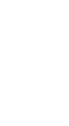 Hippocampe