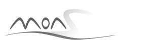 monswim